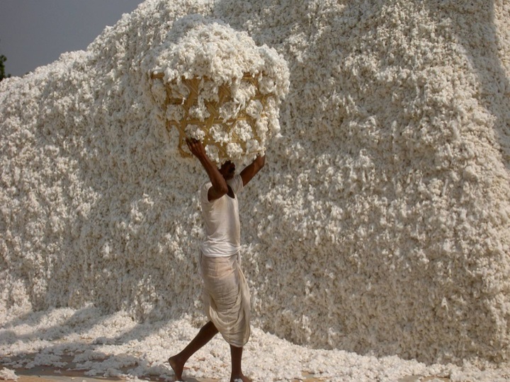 Challenge 2020 Report Cotton Sustainable Annual Second 2025