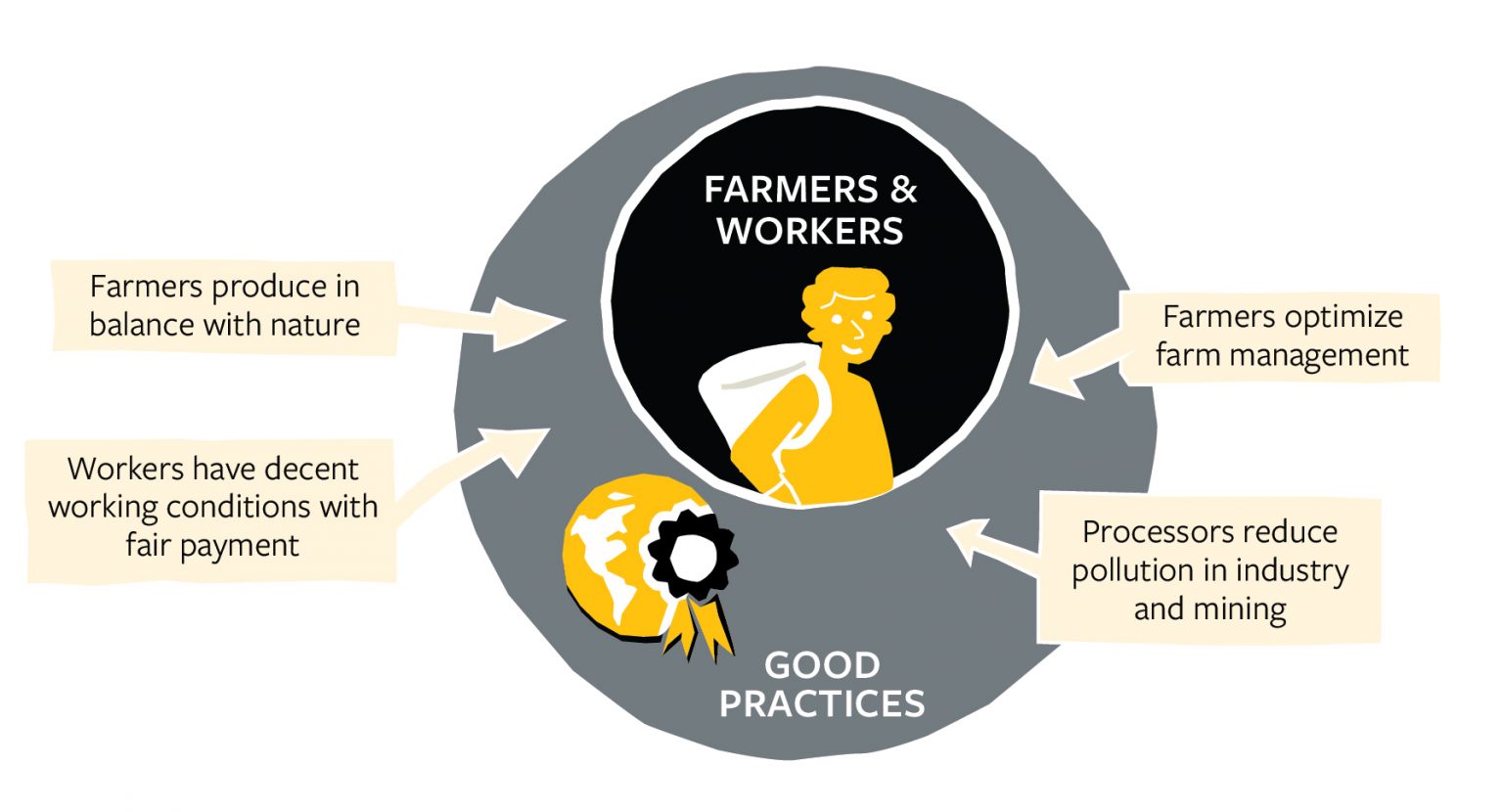 strategy-solidaridad-network