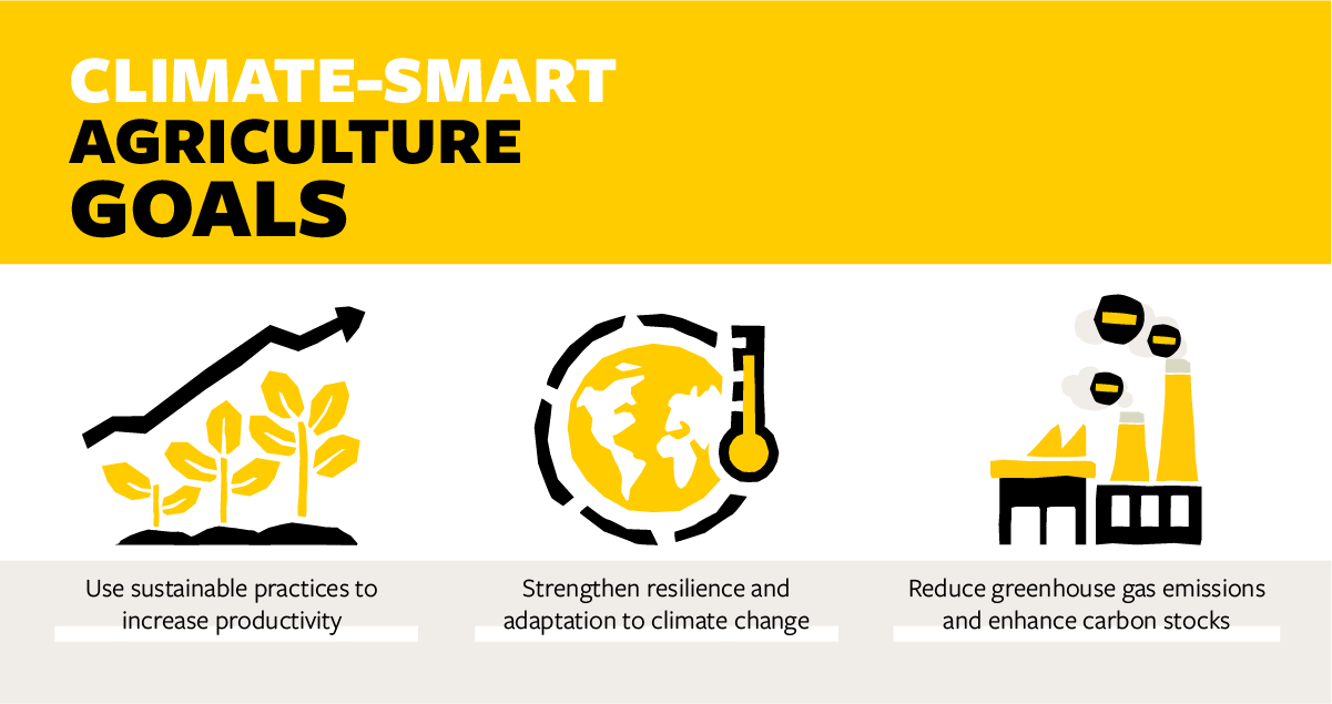 We Must Act Now To Create Climate Resilience In Agricultural Systems ...