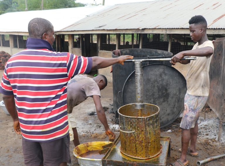 How improved oil palm milling practices enhance livelihoods and food ...