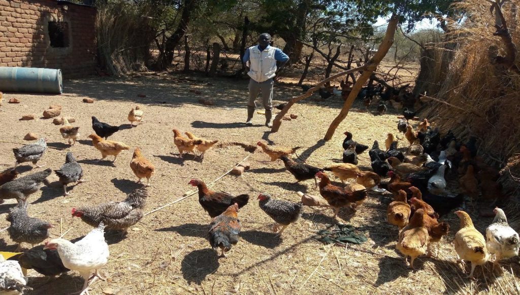Wildlife Farming in Uganda: An alternative wildlife income stream