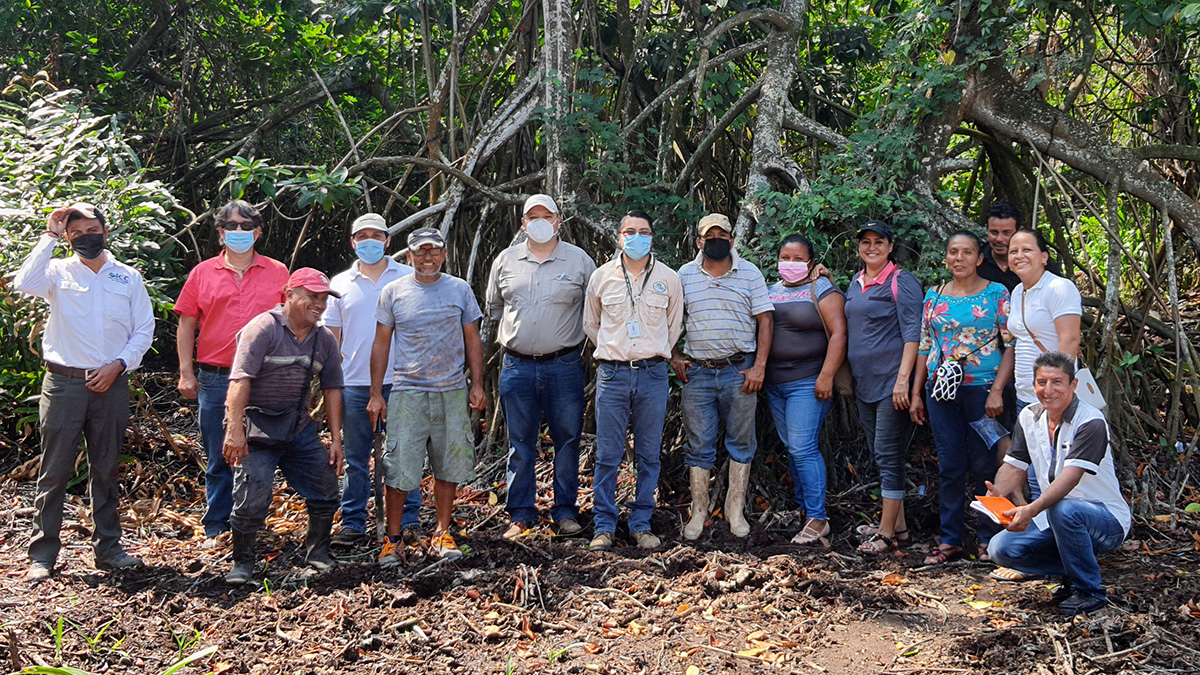 LandScale pilot in Guatemala - Full Report