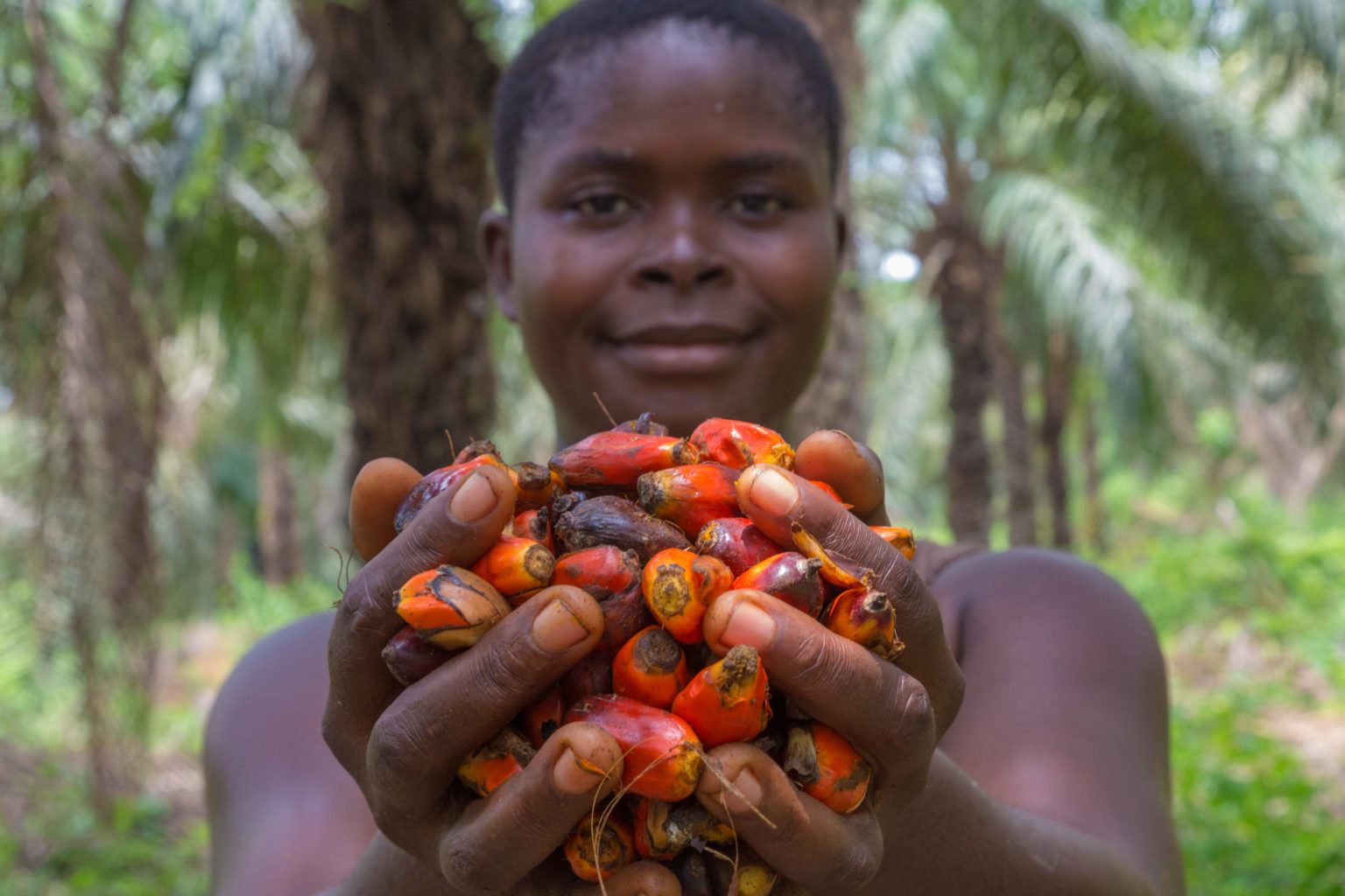 ni-scops-palm-oil-solutions-at-scale-solidaridad-network