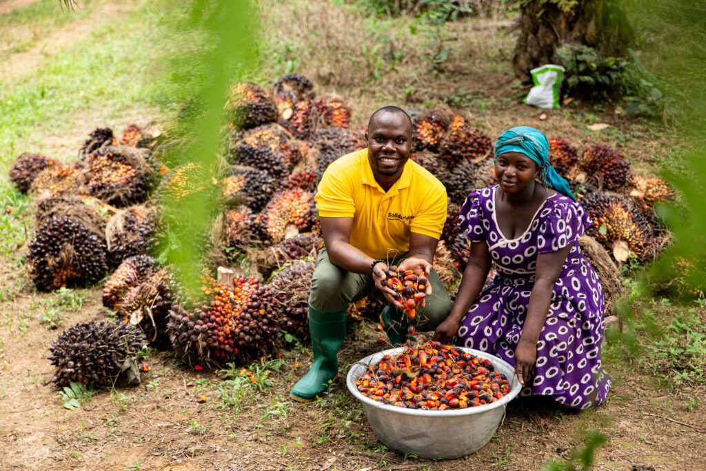 oil palm farmers in West Africa