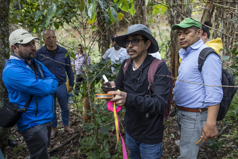 Carbon Credits And Carbon Markets: Unlocking Benefits For Smallholder ...