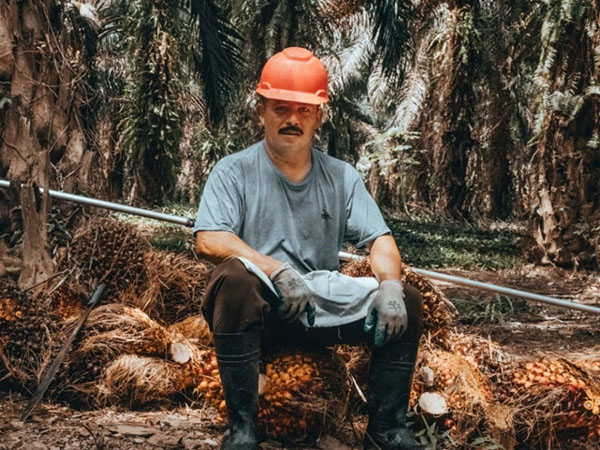 Mesoamerican Palm oil LATAM 2016