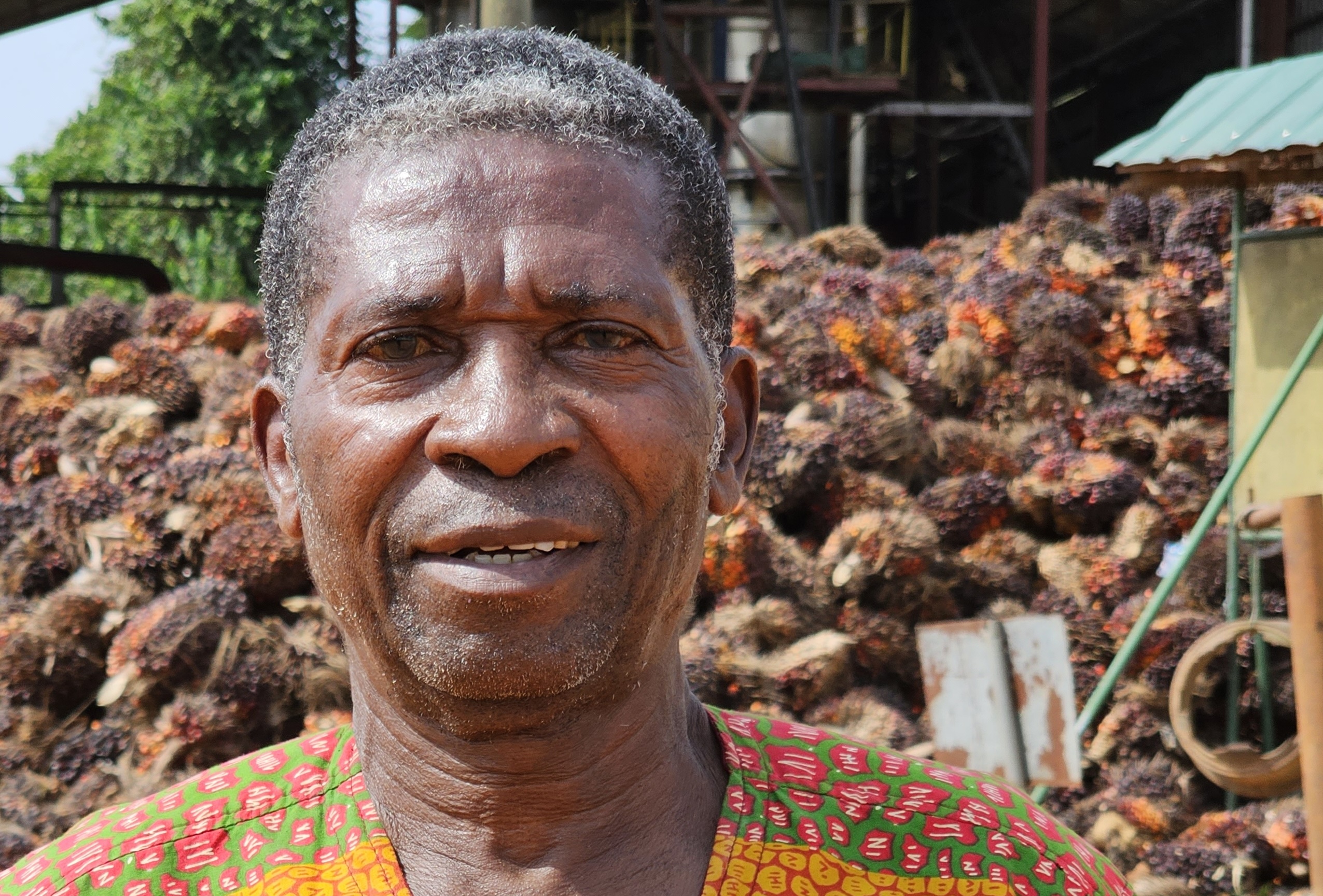 David Amoamah Ghana oil palm farmer