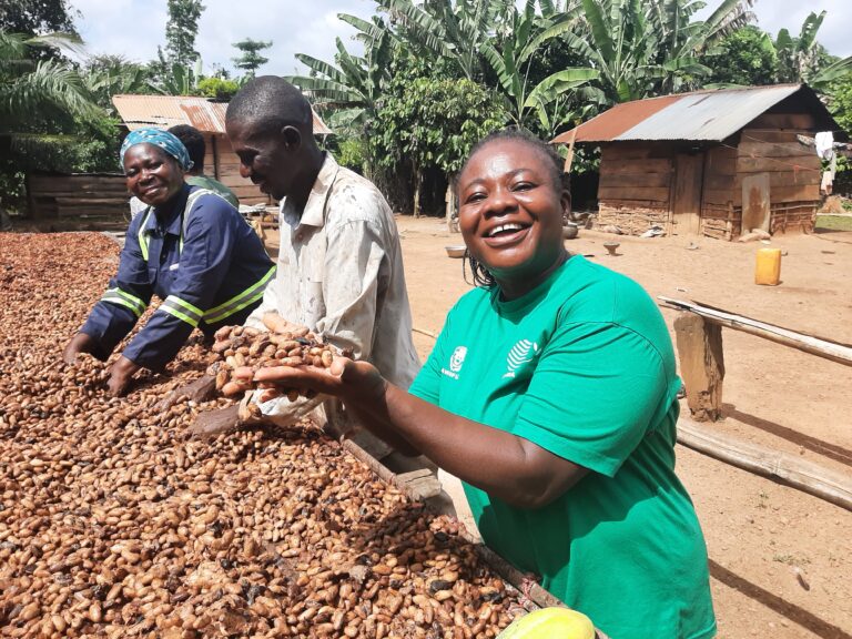 Faustina Aberor cocoa farmers women's cooperative