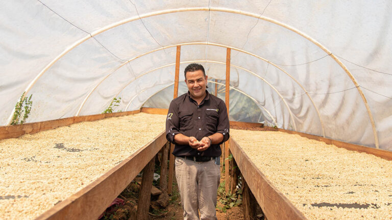 Solidaridad promotes sustainability in the Honduran coffee sector