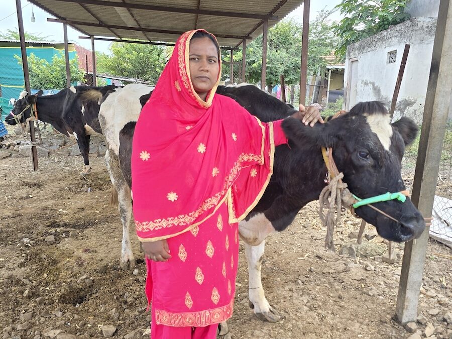 With the right training and education, dairy farming can indeed be economical and sustainable, says Kajal Suved Shaikh.